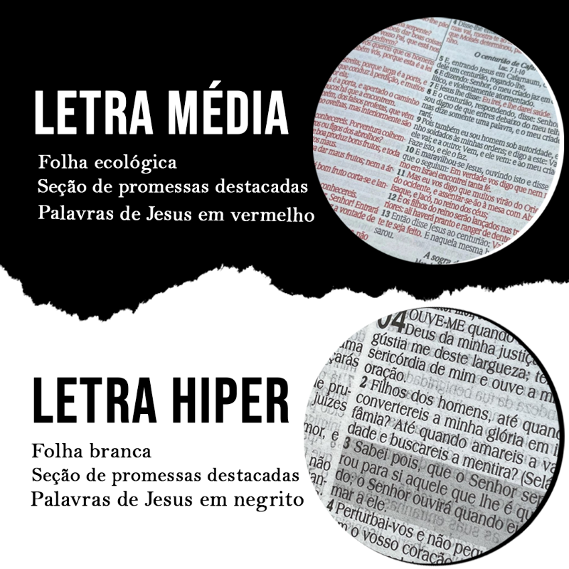 Bíblia Sagrada Leão Ele Reina Capa Dura Com Harpa e Índice