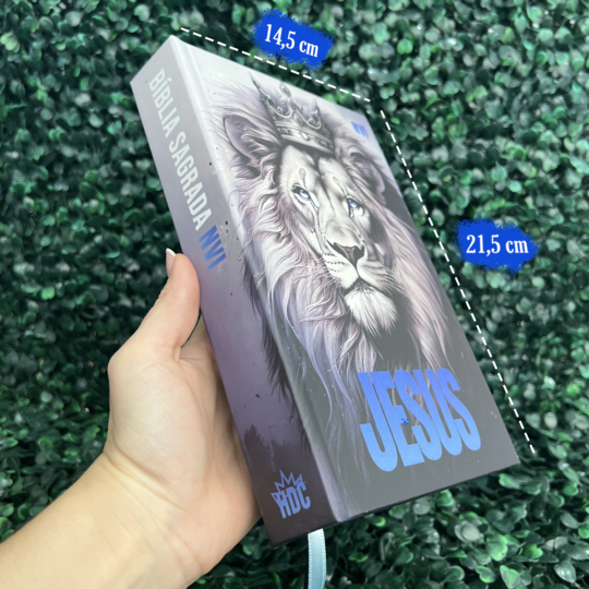 Bíblia Sagrada NVI Masculina Leão Jesus Azul Evangélica Capa Dura Índice